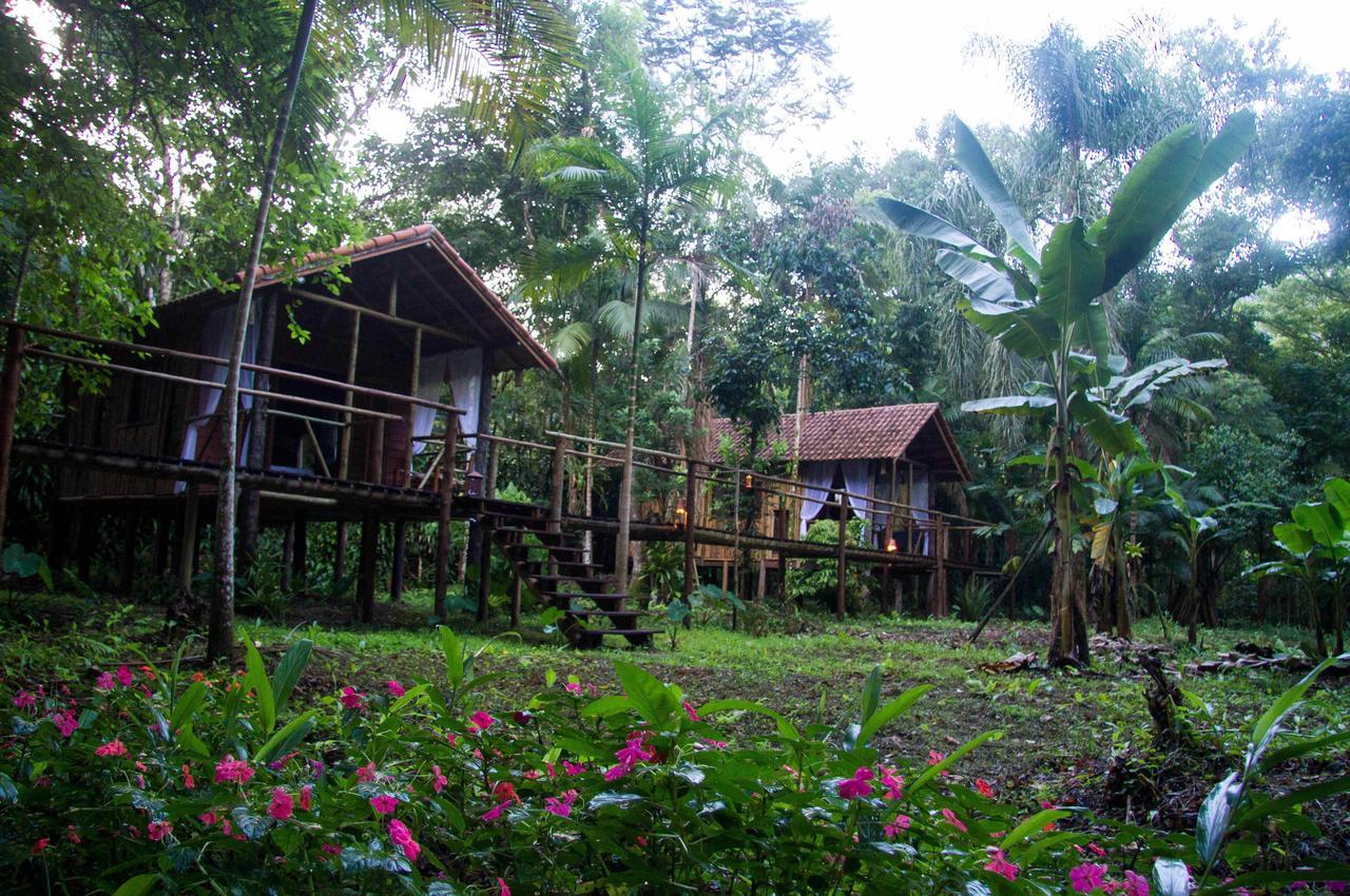 Glamping Mangarito Hotel Iporanga Bagian luar foto