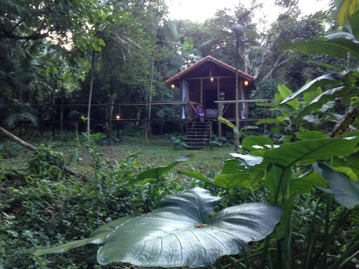 Glamping Mangarito Hotel Iporanga Bagian luar foto