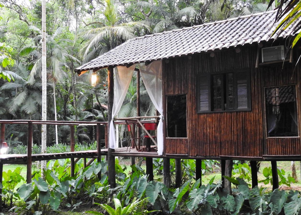 Glamping Mangarito Hotel Iporanga Bagian luar foto